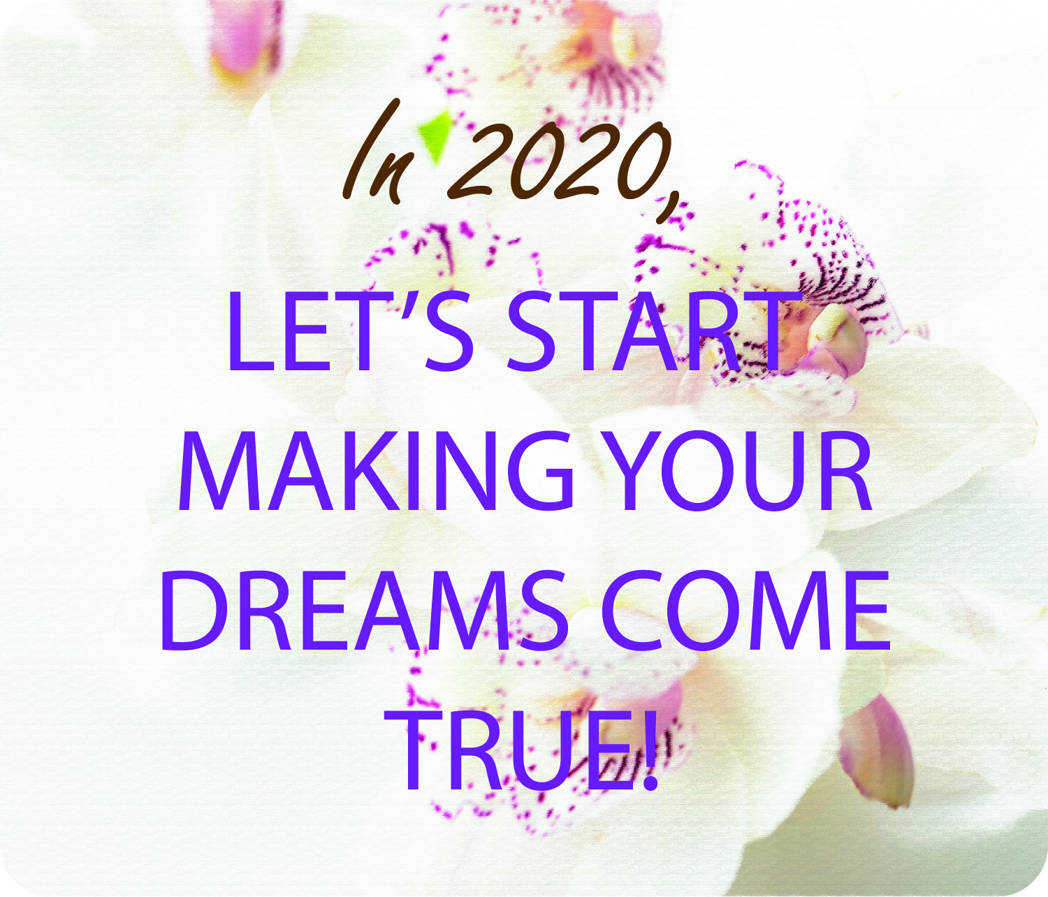 Lets start making your dreams come true